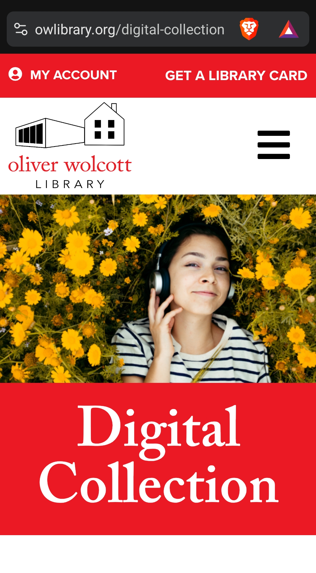 owl digital collection