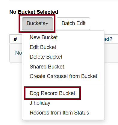 select record bucket